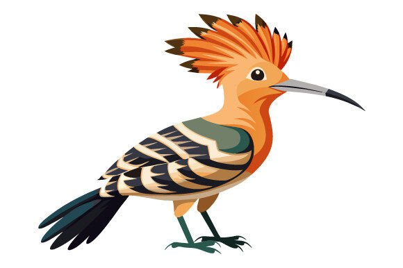 Hoopoe Bird Vector Design Graphics Freebies