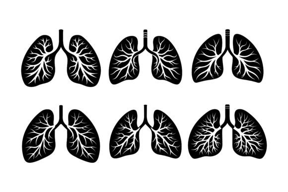 Human Lungs Silhouette Vector Design: A Graphic Asset for Modern Branding