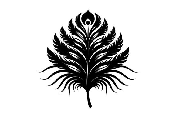 Peacock Feather Black Silhouette Vector Graphics Freebies