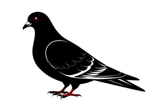 Pigeon Silhouette Vector Design Graphics Freebies